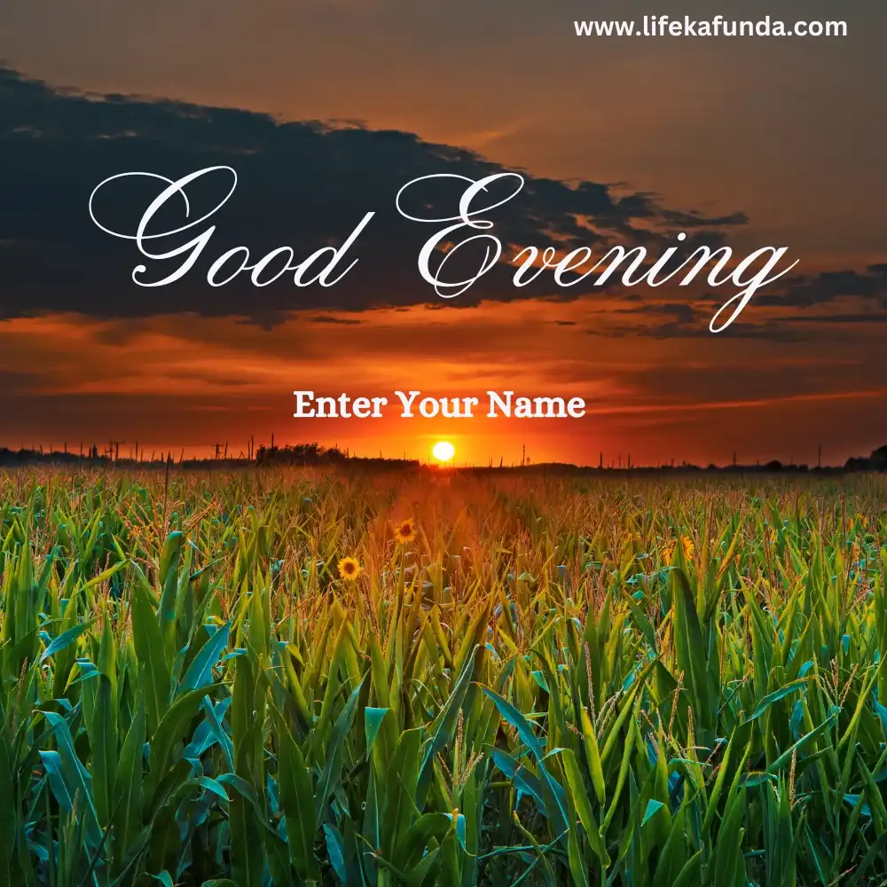 Evening sunset Good Evening Wishes card