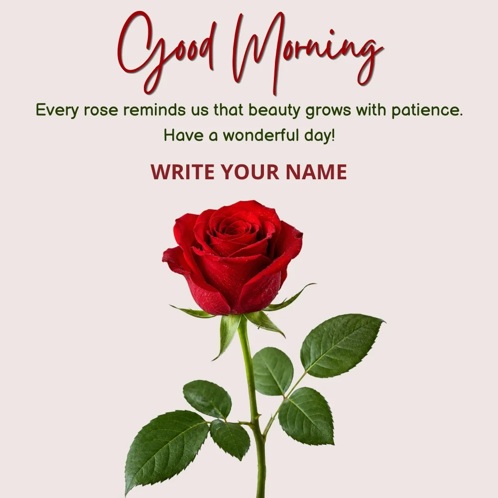 Beautiful Red Rose Good Morning Wishes with Custom Name